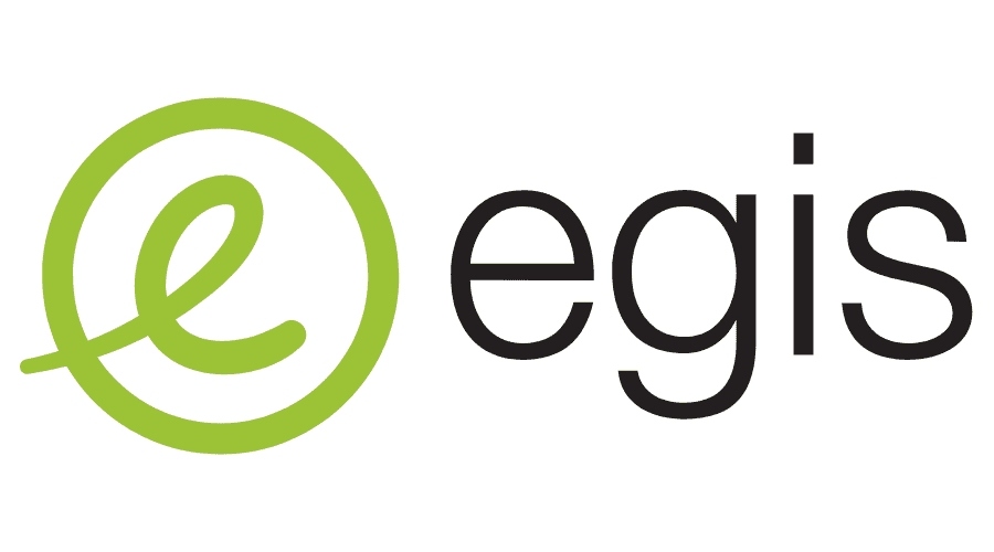 Senior Project Manager - Rail job in London | Egis BR